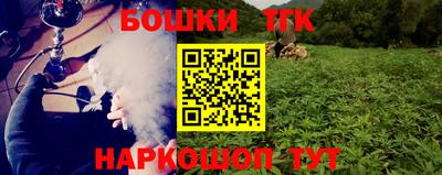 СК Пугачёв