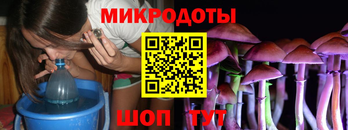 Галлюциногенные грибы Psilocybine cubensis  Псилоцибиновые грибы мицелий  Вход с VPN  Нижнеудинск 